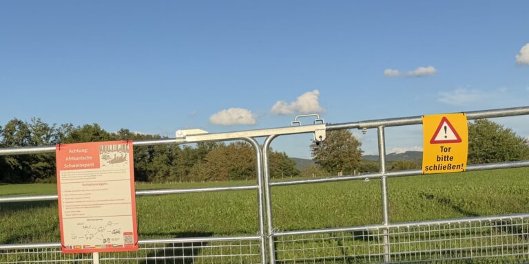 Fünf Möglichkeiten zur systematischen Minimierung von Tierleid und ökologischen Auswirkungen beim Bau von ASP-Schutzzäunen in Südwestfalen